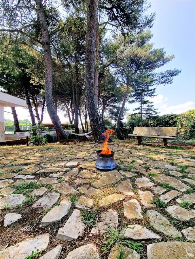 Villa Elisa Trulliandmore - Pool And Tennis Court Martina Franca Exterior photo