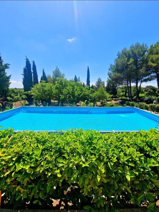 Villa Elisa Trulliandmore - Pool And Tennis Court Martina Franca Exterior photo